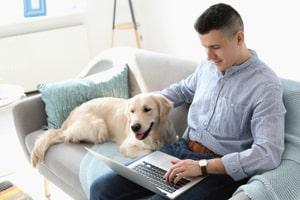 Illinois-Pet-Custody.jpg How Do You Determine Who Keeps Your Pet After Divorce?