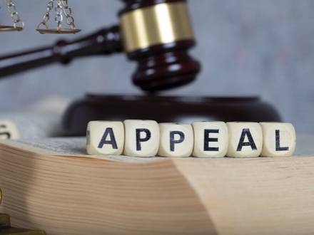 DuPage County, IL family law appeals lawyer
